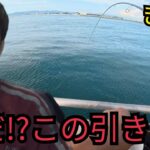 浜名湖海釣り公園のT字堤防で足元付近を丁寧に探ったら…