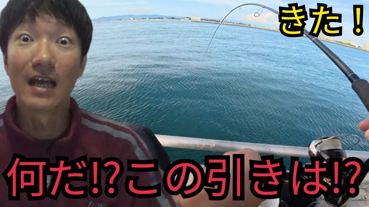 浜名湖海釣り公園のT字堤防で足元付近を丁寧に探ったら…