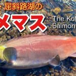 【ヒメマス】北海道・屈斜路湖のヒメマス The Kokanee Salmon Fishing
