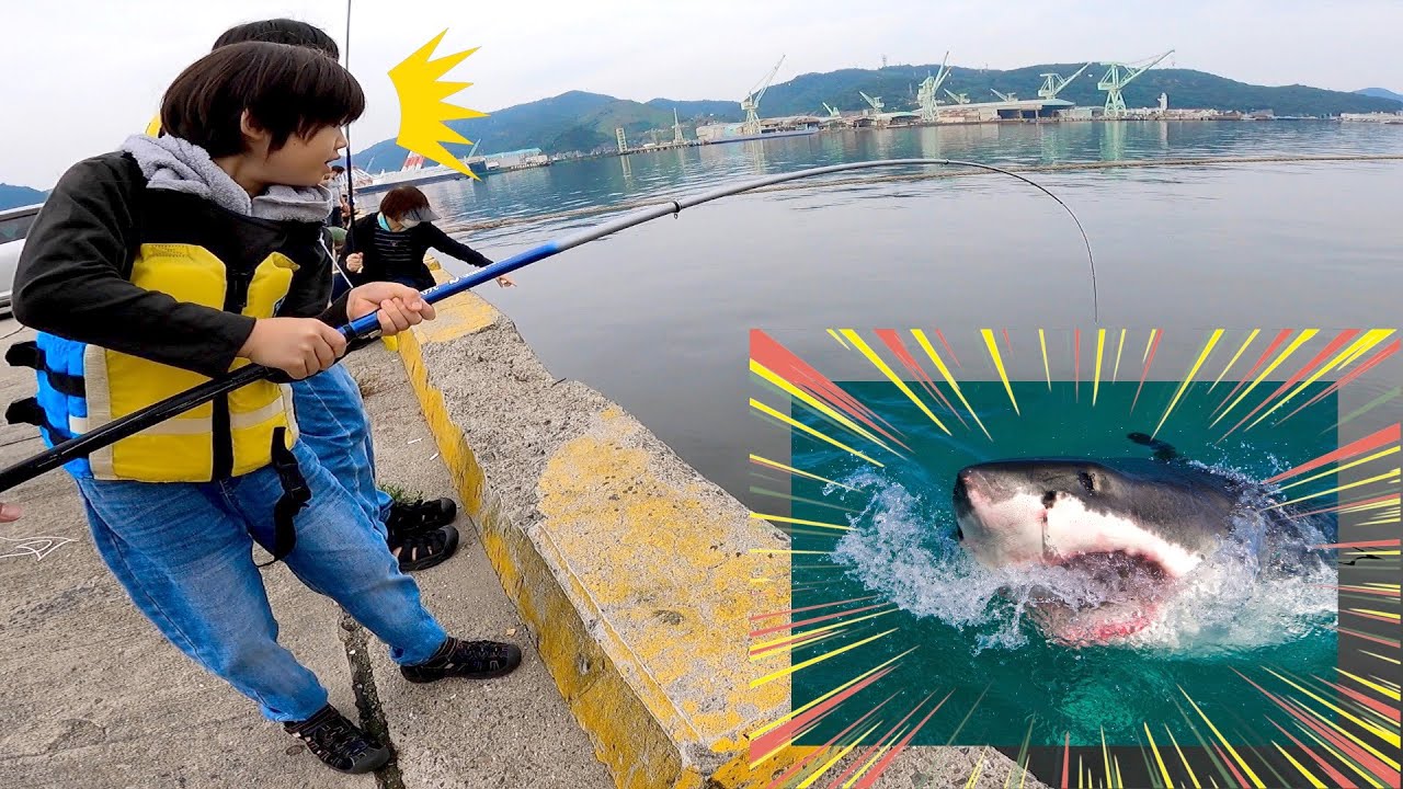 たけるちゃんの竿にまさかのサメ!?😱興奮と恐怖でパニック💦釣り Vlog