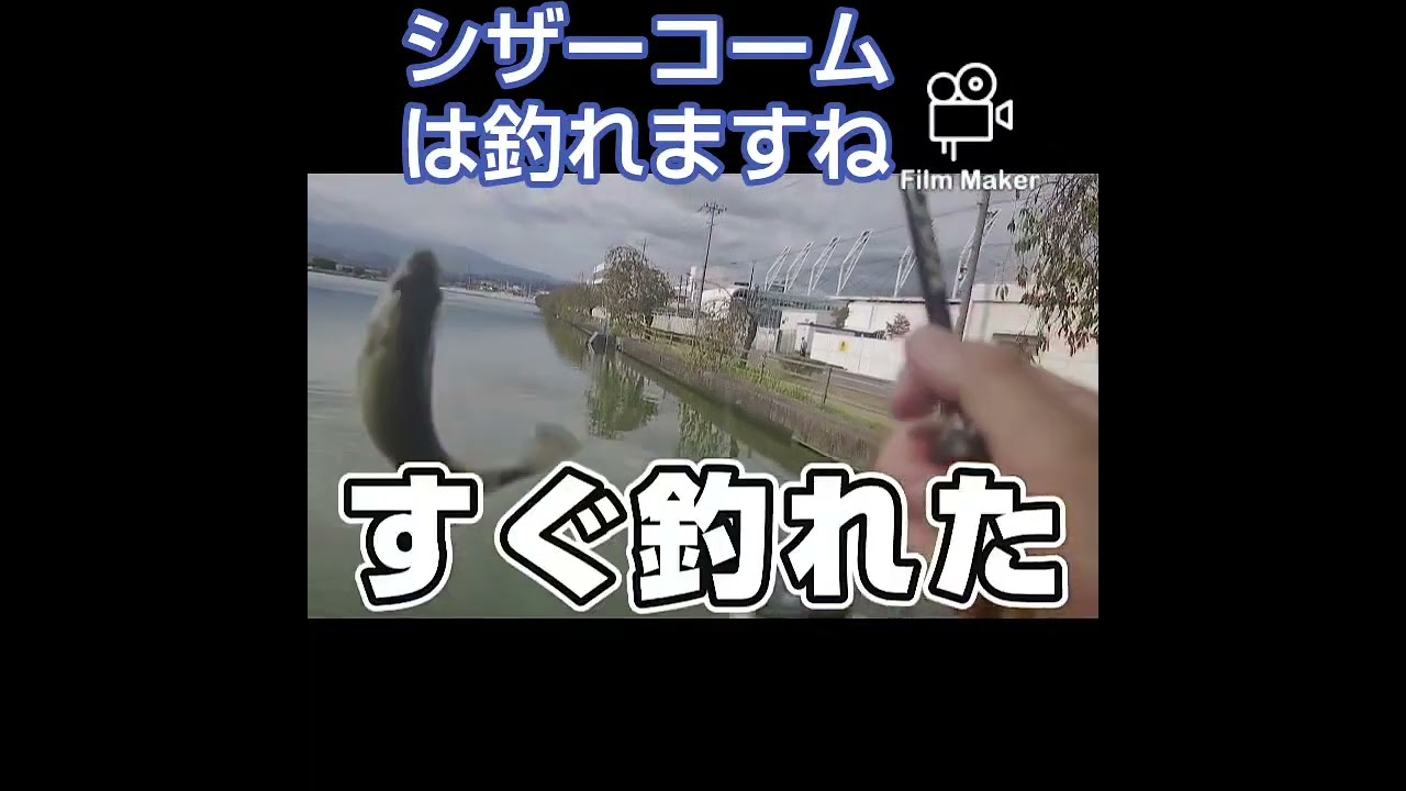 【野池バス釣り】 #バス釣り #bassfishing #釣り