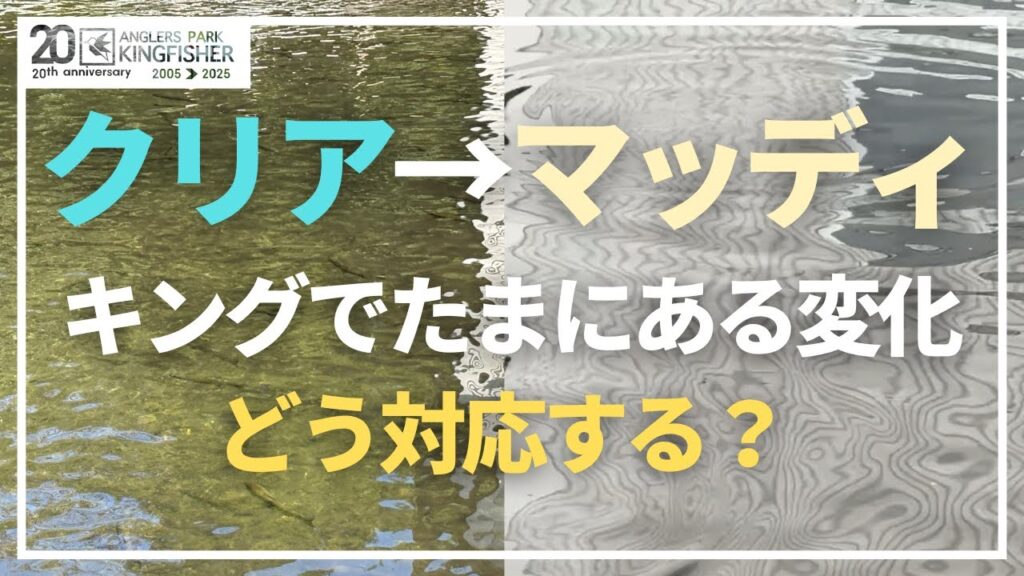 【クリア→マッディ】キングでたまにある急激な水質の変化にどう対応する？in キングフィッシャー