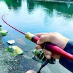 昼間からの管理釣り場でもしっかり釣果を出してくれるルアー達　エリアトラウトinベリーズ迦葉山