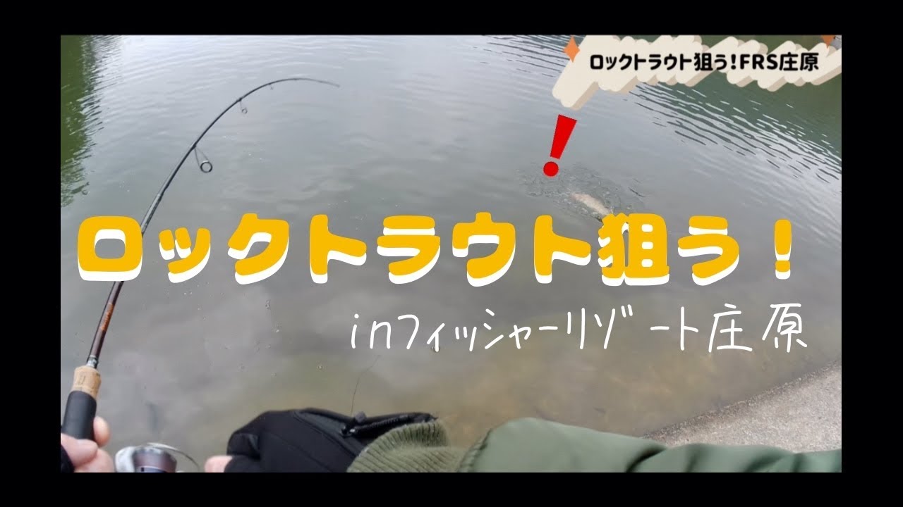 狙うはロックトラウトinﾌｨｯｼｬｰﾘｿﾞｰﾄ庄原　管理釣り場　エリアトラウト