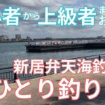 いろんな魚種が釣れた！新居弁天海釣公園 in湖西｜女ひとり釣り #浜名湖釣り #新居海釣り公園 #釣り