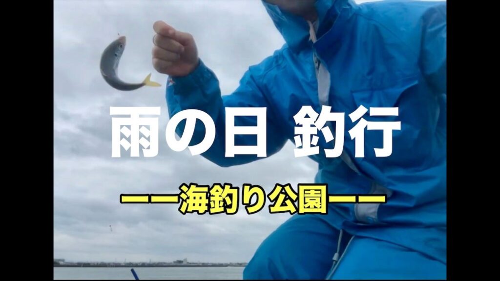 【海釣り公園】五目釣り#アジ、キス、グレ、時々フグ太郎 in浜名湖
