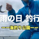 【海釣り公園】五目釣り#アジ、キス、グレ、時々フグ太郎 in浜名湖