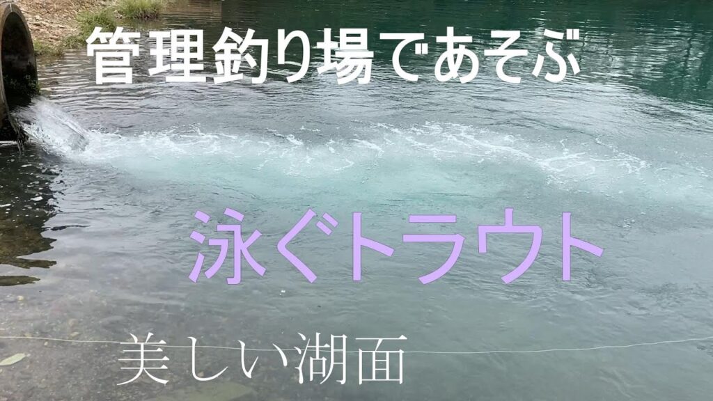 管理釣り場であそぶ | 管理釣り場 | トラウト | 栃木県 | managed fishing grounds | protected cat | vlog#18