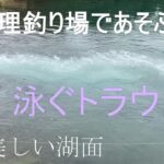 管理釣り場であそぶ | 管理釣り場 | トラウト | 栃木県 | managed fishing grounds | protected cat | vlog#18