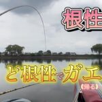 《へらぶな釣り to 近藤沼》両ダンゴで釣れたの1年何ヶ月振りだろ😆タナが出来たと思ったらトラブルで😣