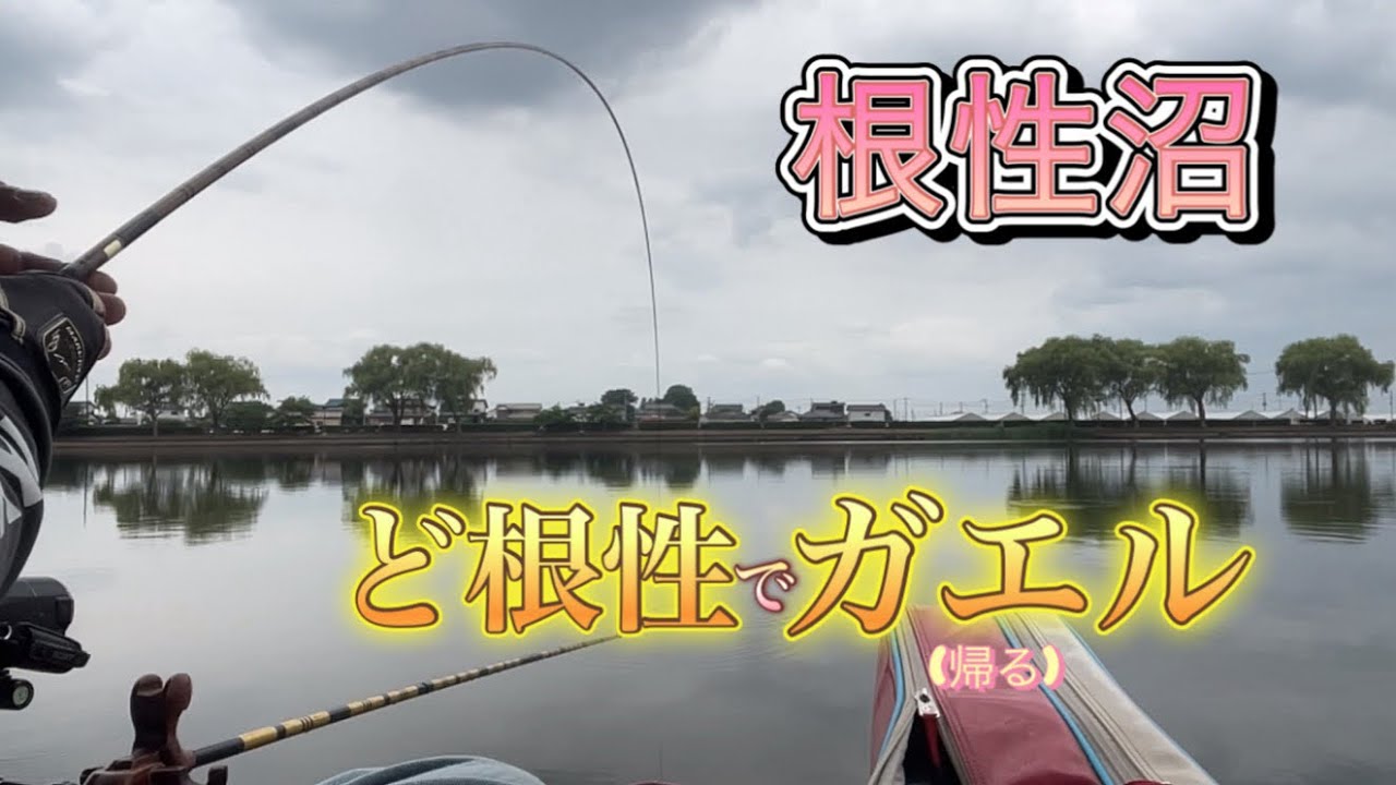《へらぶな釣り to 近藤沼》両ダンゴで釣れたの1年何ヶ月振りだろ😆タナが出来たと思ったらトラブルで😣