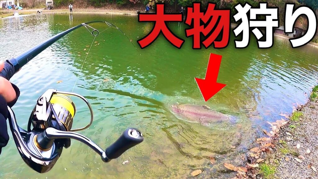 【初心者でもできる！】見えている大物を超簡単に釣る激ヤバな方法【エリアトラウト　管理釣り場　管釣り　trout fishing】