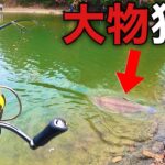 【初心者でもできる！】見えている大物を超簡単に釣る激ヤバな方法【エリアトラウト　管理釣り場　管釣り　trout fishing】