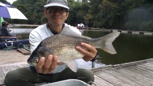 釣堀　菊水　今日も池田様の日か？