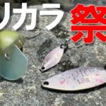 【エリアトラウト】イベント限定カラーで釣れるのか！？実釣検証【うらたんざわ渓流釣り場】