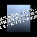 猪苗代湖バス釣り　師匠秘伝のノット紹介！さらにスモールマウスの生態について⁉️