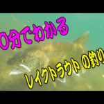 １０分で分かる　レイクトラウト の釣り方　中禅寺湖