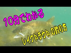１０分で分かる　レイクトラウト の釣り方　中禅寺湖