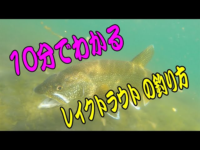 １０分で分かる　レイクトラウト の釣り方　中禅寺湖