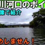 琵琶湖の宇曽川河口のバス釣りポイントを水中映像で公開！お勧めしません！