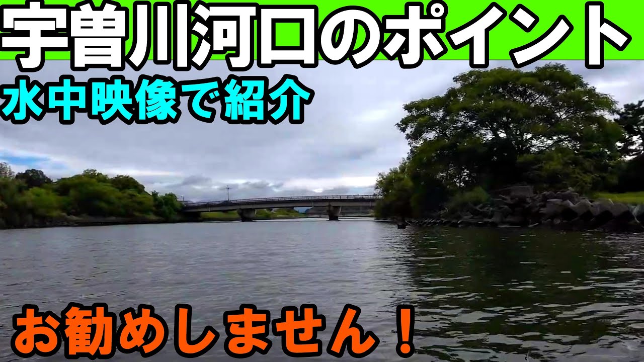 琵琶湖の宇曽川河口のバス釣りポイントを水中映像で公開!お勧めしません!