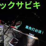 【浜名湖】アジが釣れているらしいので、行ってみたら爆釣でした。