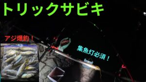 【浜名湖】アジが釣れているらしいので、行ってみたら爆釣でした。