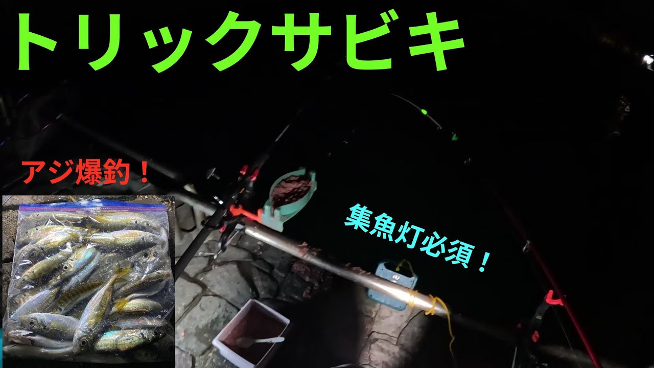 【浜名湖】アジが釣れているらしいので、行ってみたら爆釣でした。
