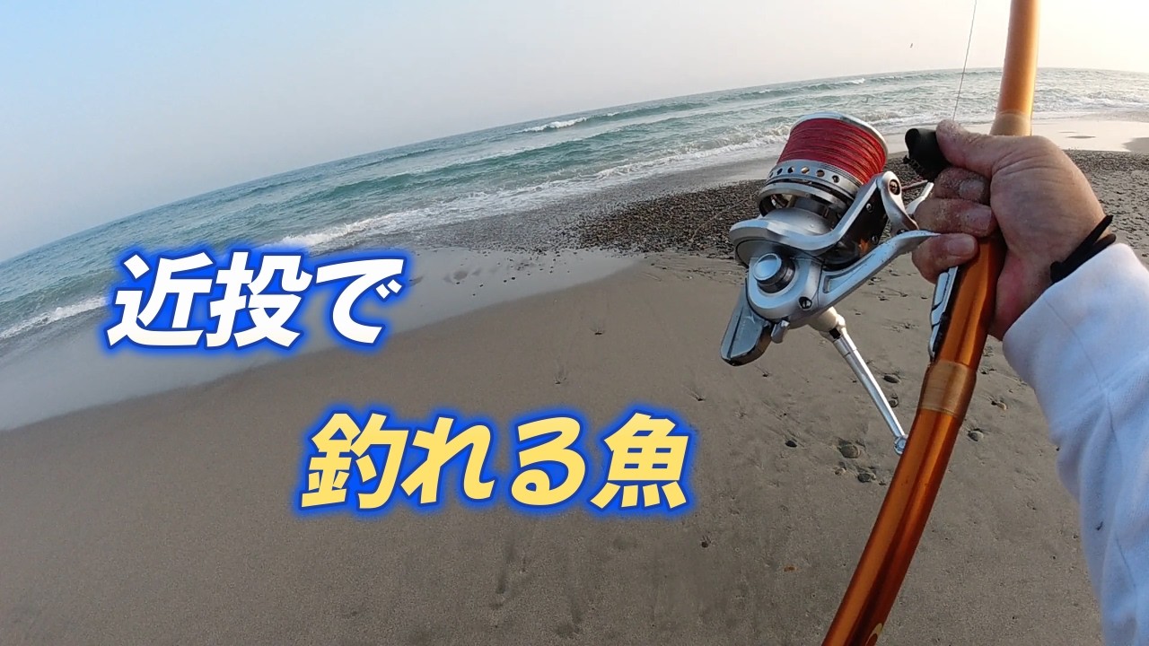 表浜で投げ釣り　波打ち際で釣れる魚