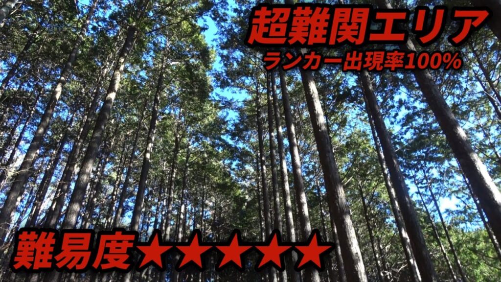 まだある穴場！！人格崩壊もうギリギリ【エリアトラウト・管理釣り場】【愛知県】【にごチャンネル】【穴場】【ハートデザイン・フェザー】