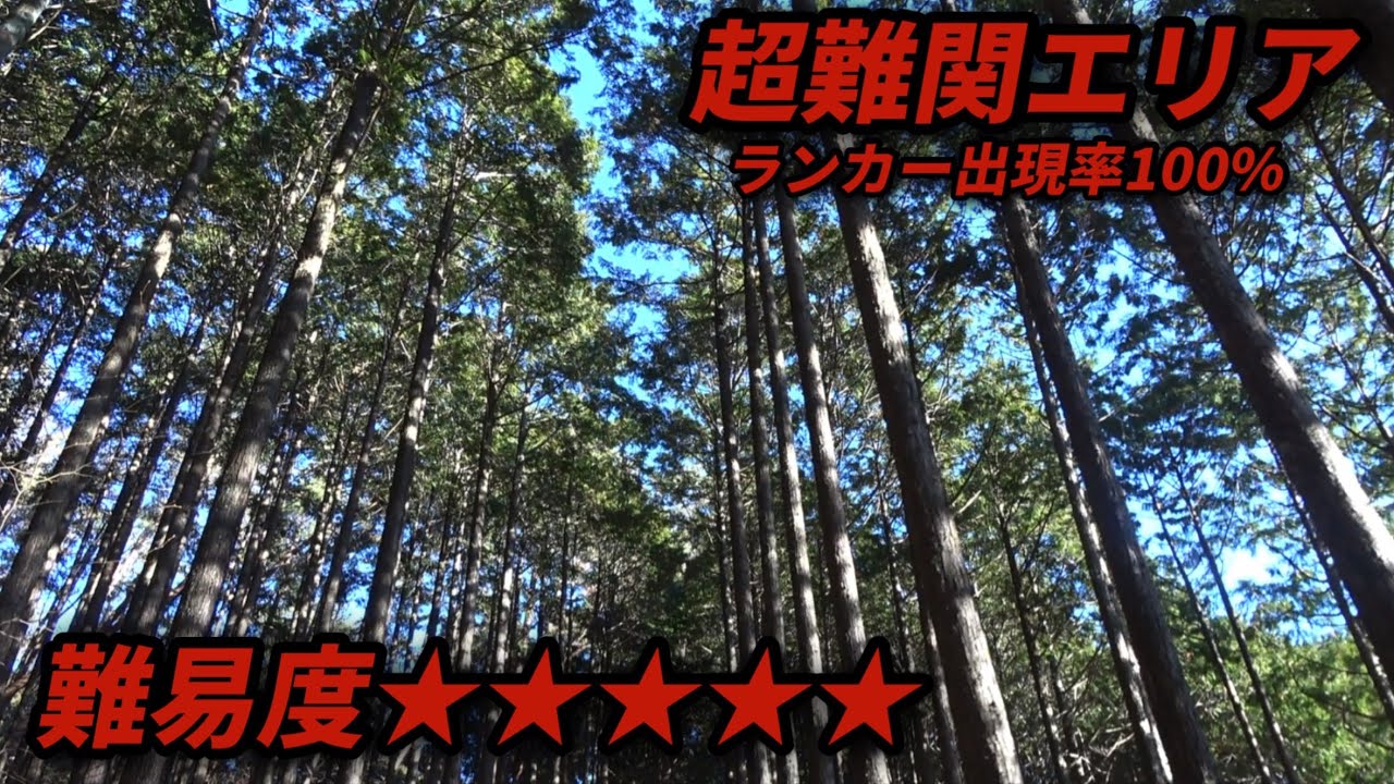 まだある穴場!!人格崩壊もうギリギリ【エリアトラウト・管理釣り場】【愛知県】【にごチャンネル】【穴場】【ハートデザイン・フェザー】