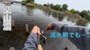 【柴山沼】この②パターンでどうにかなります。【バス釣り】