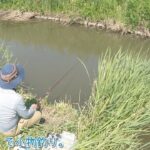 魚の気配がめちゃ多い水路！  綺麗な〇〇連発！ 千葉県 成田で小物釣り。
