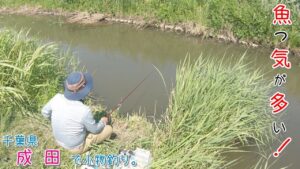 魚の気配がめちゃ多い水路！  綺麗な〇〇連発！ 千葉県 成田で小物釣り。