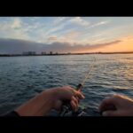 青物情報多数の浜名湖海釣り公園で今週は攻めました①【浜名湖釣り】🎣