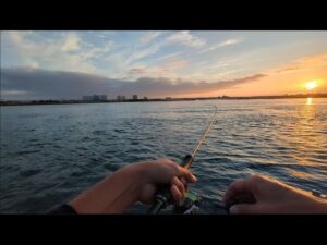 青物情報多数の浜名湖海釣り公園で今週は攻めました①【浜名湖釣り】🎣