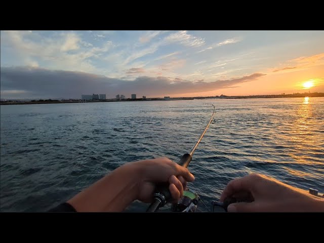 青物情報多数の浜名湖海釣り公園で今週は攻めました①【浜名湖釣り】🎣
