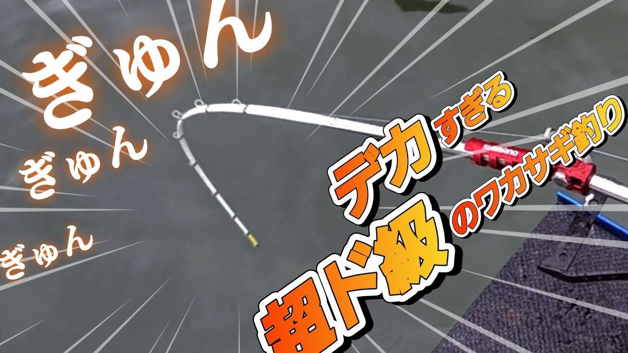 【ワカサギ釣り】超ド級!!!釣れるワカサギデカすぎる!【神流湖】