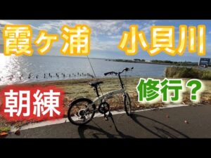 【バス釣り】 やっぱり夕まずめより朝一が良き!? 霞ヶ浦 小貝川