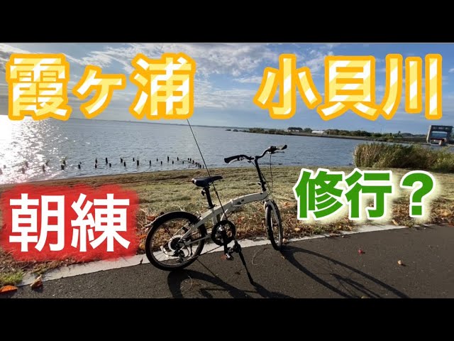 【バス釣り】 やっぱり夕まずめより朝一が良き！? 霞ヶ浦 小貝川