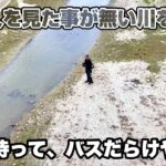 【衝撃】日本一釣れる"謎の川"を見つけてしまった