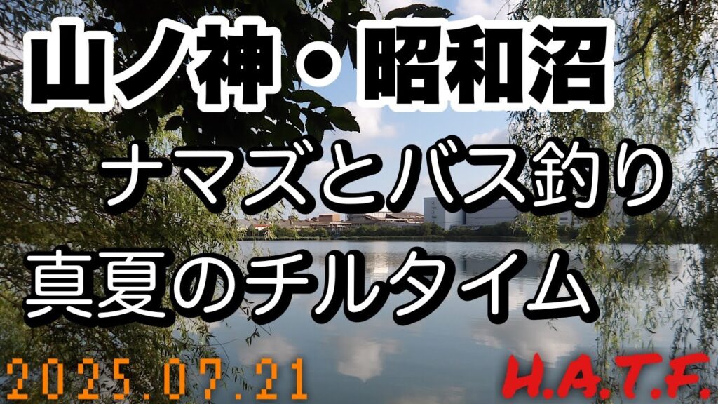 埼玉の沼でナマズとバスを狙う真夏のハシゴ釣行の巻
