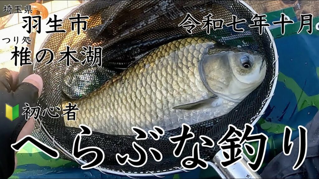 【つり処椎の木湖】へらぶな釣り‼️ 🔰初心者‼️へら釣り二回目‼️