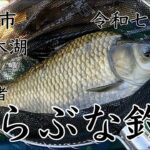 【つり処椎の木湖】へらぶな釣り‼️ 🔰初心者‼️へら釣り二回目‼️
