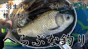 【つり処椎の木湖】へらぶな釣り‼️ 🔰初心者‼️へら釣り二回目‼️