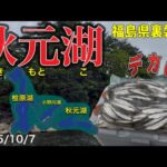 【ワカサギ釣り】これぞ秋元湖！デカい！おもいっ！#ワカサギ釣り #秋元湖#シマノ #レイクマスター