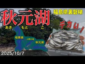 【ワカサギ釣り】これぞ秋元湖！デカい！おもいっ！#ワカサギ釣り #秋元湖#シマノ #レイクマスター