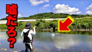 田舎の川でトップ投げたら、とんでもない化け物が掛かってしまった‼️