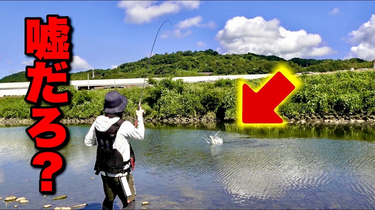 田舎の川でトップ投げたら、とんでもない化け物が掛かってしまった‼️