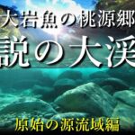 伝説の大渓流｜深山幽谷"原始の源流域"に潜む大岩魚を求め…｜夏の渓流釣り遠征【源流域編】